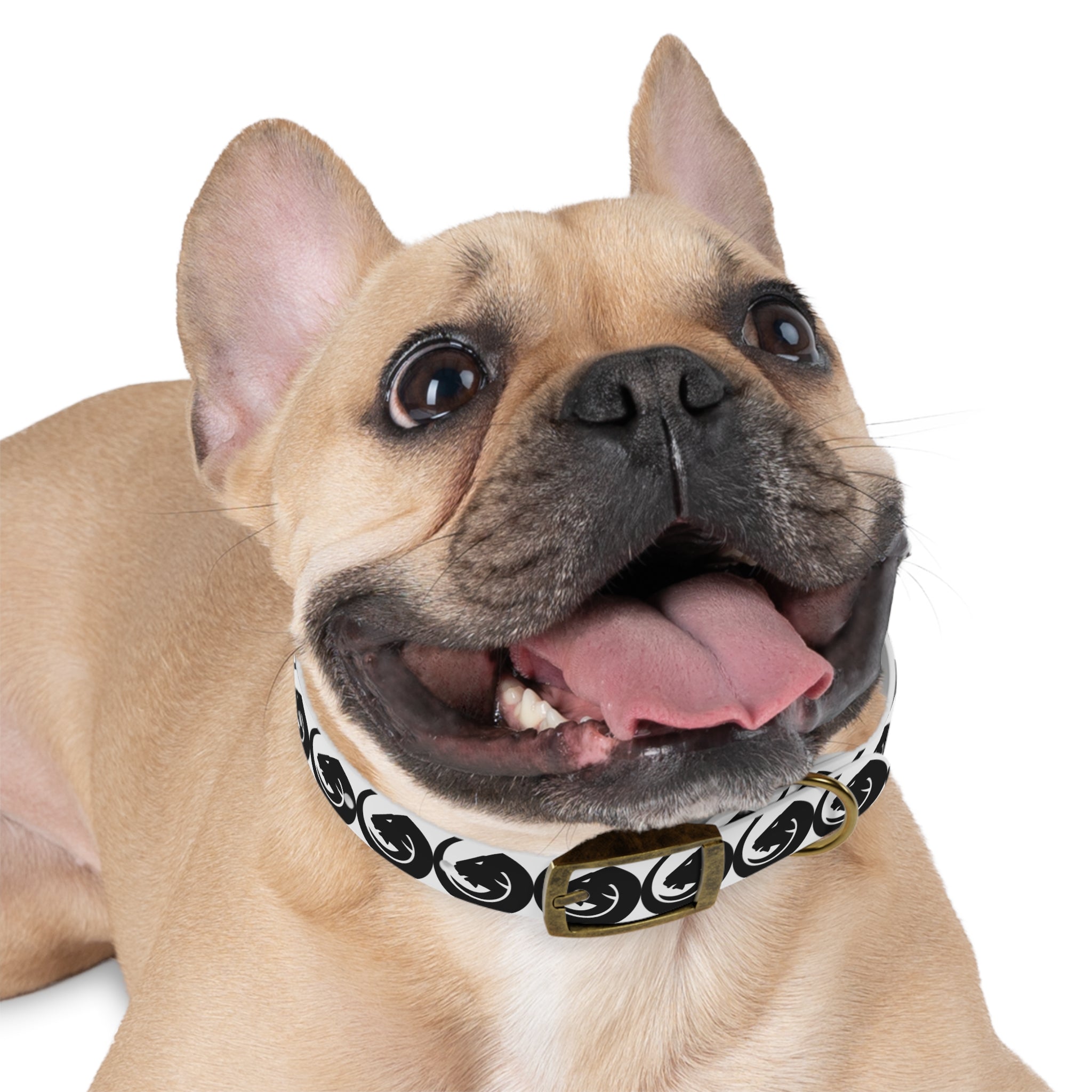 Black & White Circle Fox Dog Collar – Modern Minimalist Pet Accessory